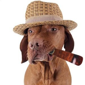 TD Plush Cigarette Dog Toy Dog TD Plush Cigarette Dog Toy