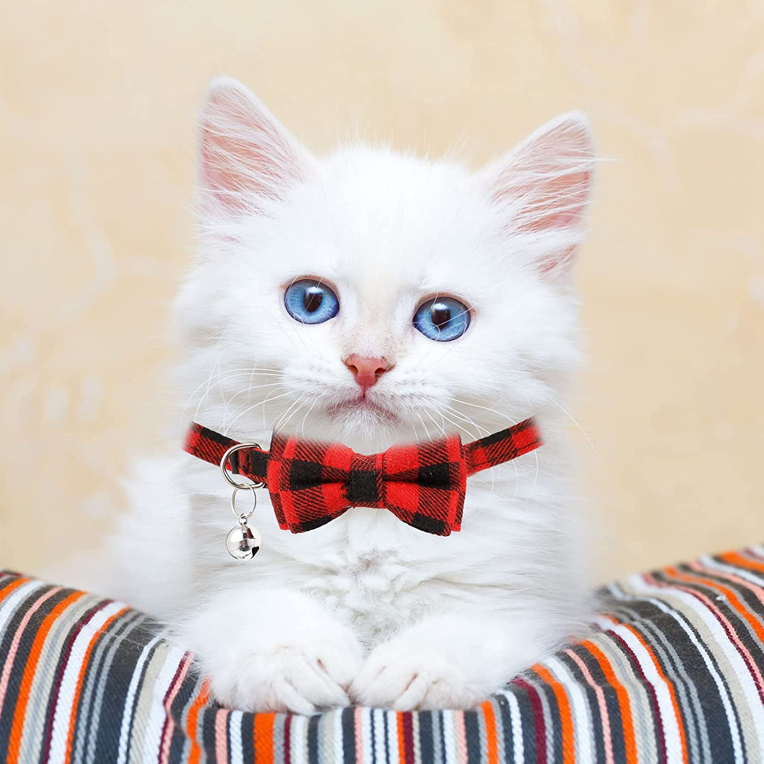 TD Cat Bow Tie Collar Apparel, Leash Collar, Harness & BackPack TD Cat Bow Tie Collar - Image 9