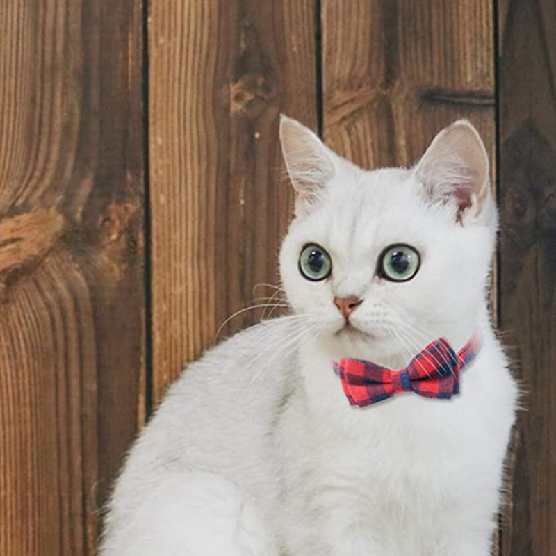 TD Cat Bow Tie Collar Apparel, Leash Collar, Harness & BackPack TD Cat Bow Tie Collar - Image 7