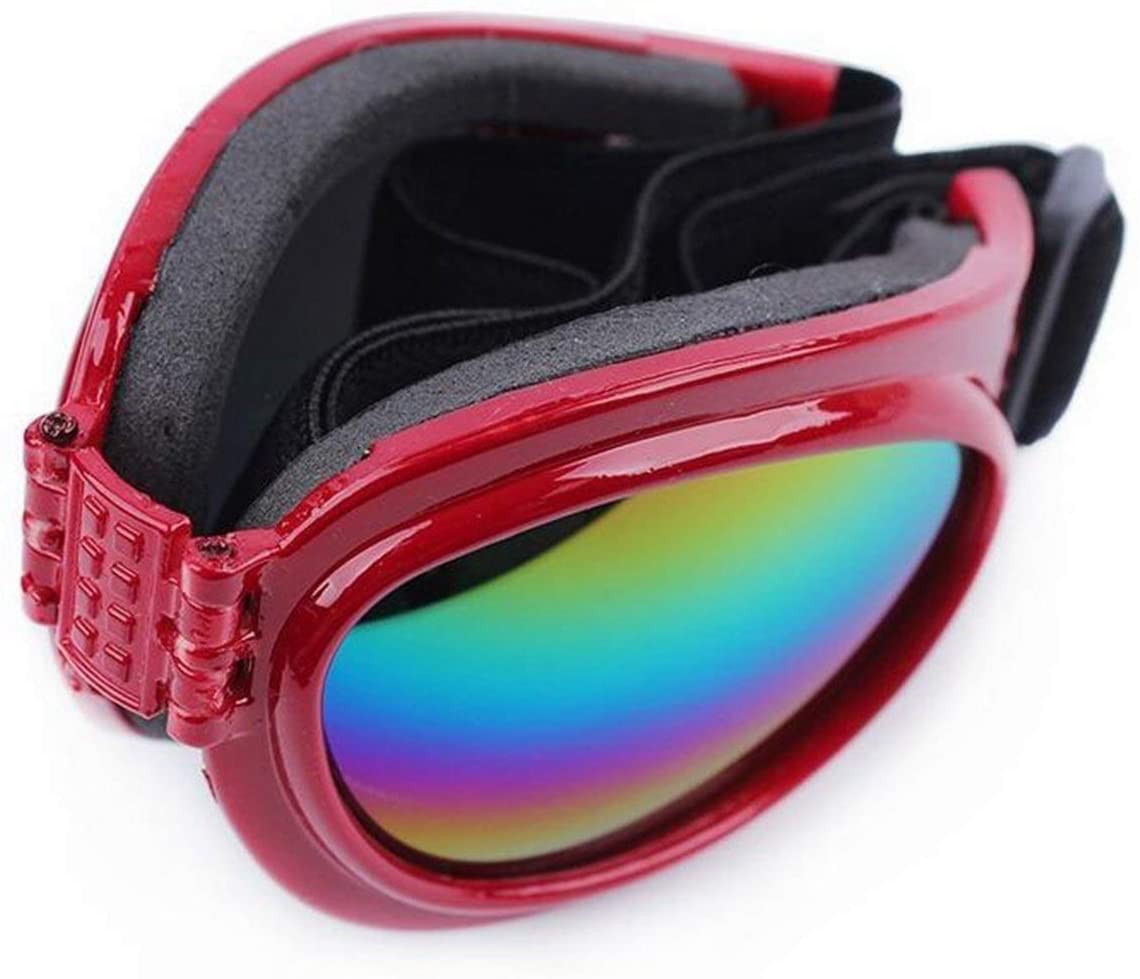 TD Pet Eyewear Apparel TD Pet Eyewear - Image 4