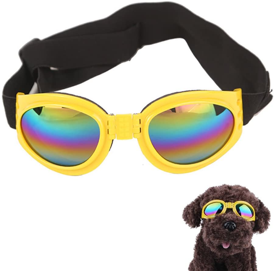 TD Pet Eyewear Apparel TD Pet Eyewear - Image 6
