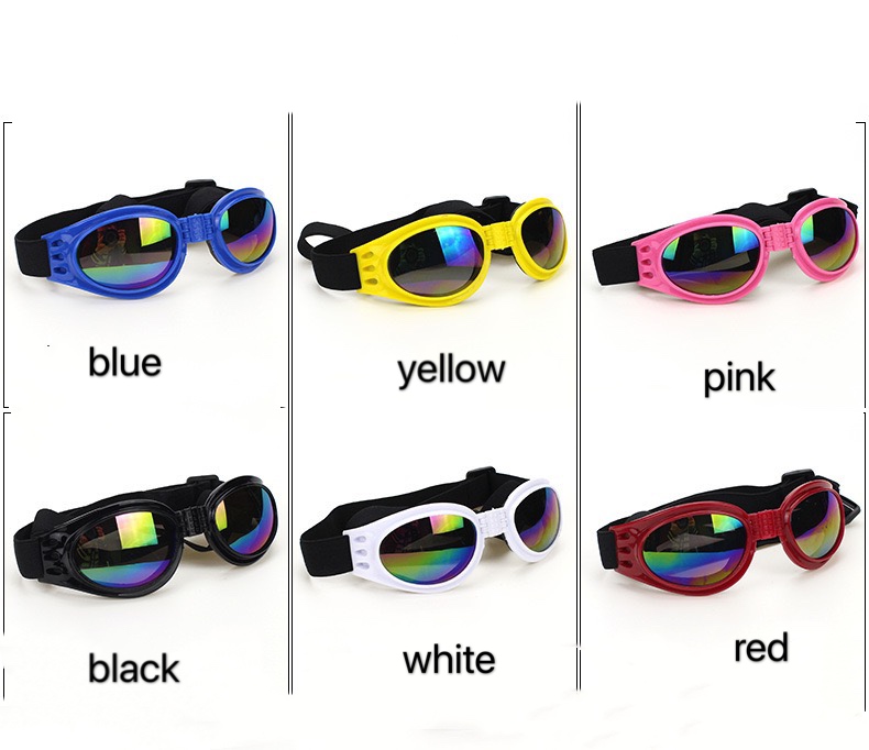 TD Pet Eyewear Apparel TD Pet Eyewear