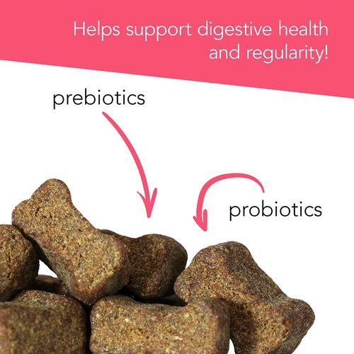 Vetri Probiotic Everyday Dog Chews Dog Vetri Probiotic Everyday Dog Chews - Image 7