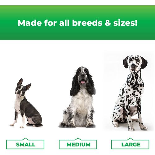 Vetri Derma Strength For Dogs 70 Chews Dog Vetri Derma Strength For Dogs 70 Chews - Image 4