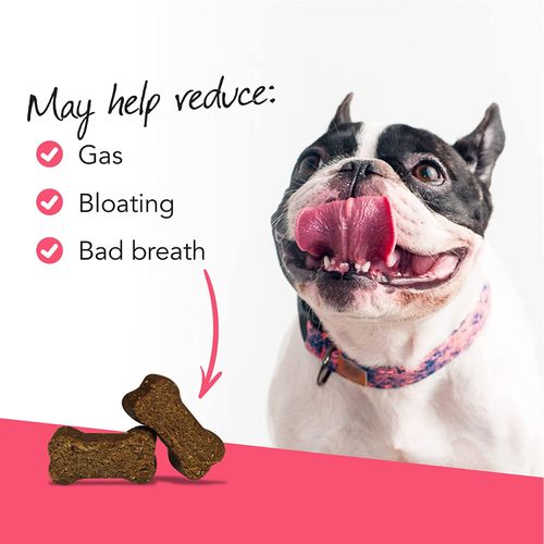 Vetri Probiotic Everyday Dog Chews Dog Vetri Probiotic Everyday Dog Chews - Image 4