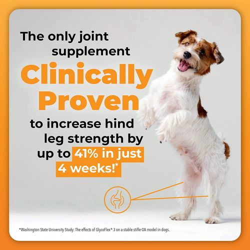 Vetri GlycoFlex® Stage 3 For Small Dogs Chews 4.23oz/120g Dog Vetri GlycoFlex® Stage 3 For Small Dogs Chews 4.23oz/120g - Image 4