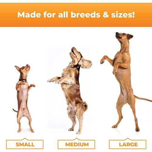 Vetri GlycoFlex® Stage 3 For Small Dogs Chews 4.23oz/120g Dog Vetri GlycoFlex® Stage 3 For Small Dogs Chews 4.23oz/120g - Image 5