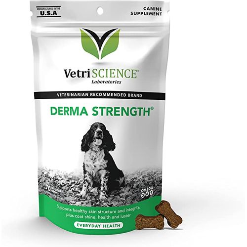 Vetri Derma Strength For Dogs 70 Chews Dog Vetri Derma Strength For Dogs 70 Chews