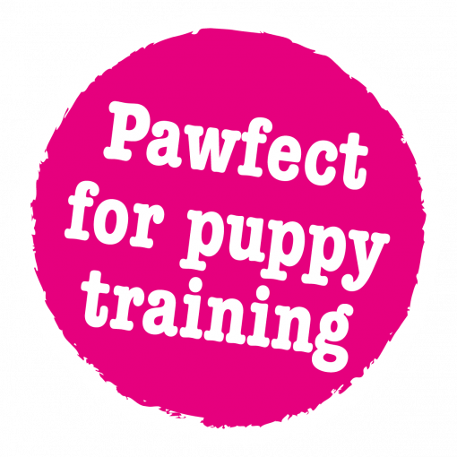 Little BigPaw Little Tricks Training Treats 90g Dog Little BigPaw Little Tricks Training Treats 90g - Image 4