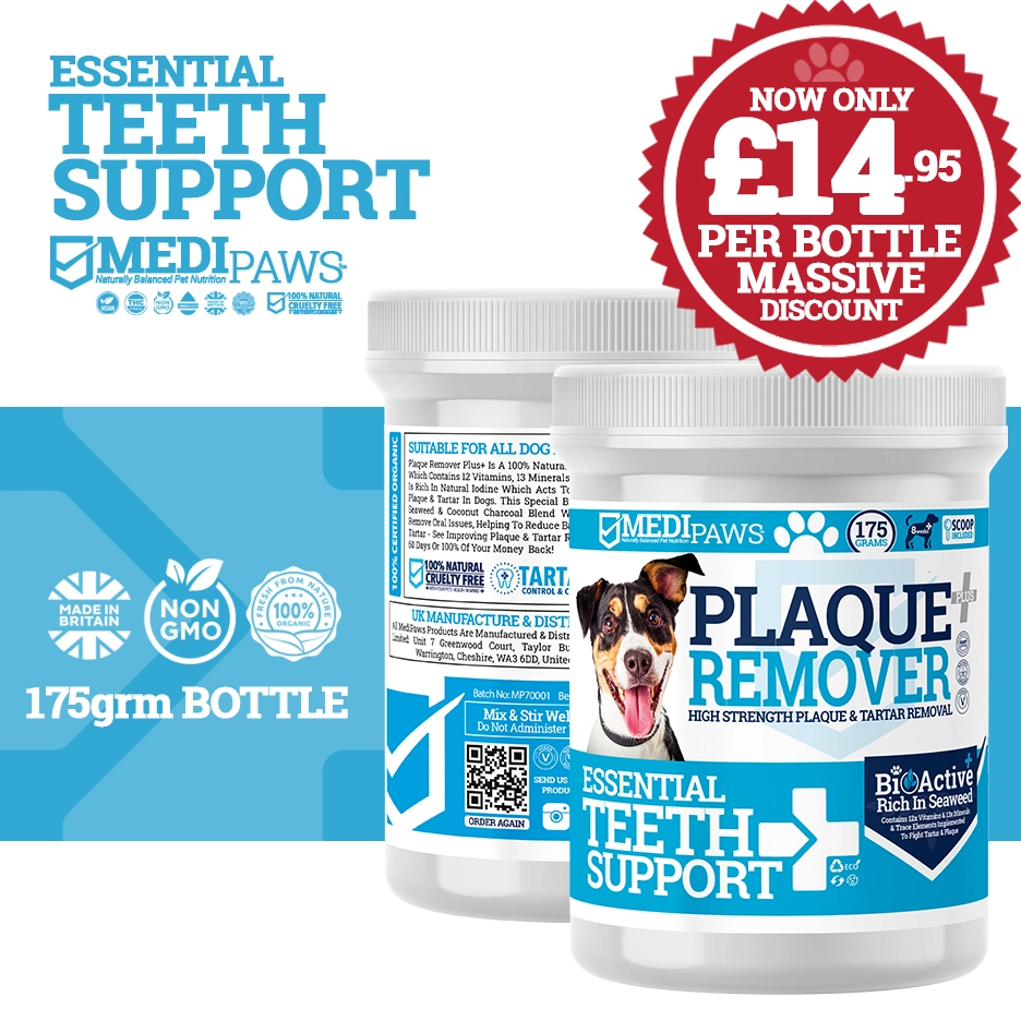 MediPaws Plaque Remover Teeth Support+ 175g Dog MediPaws Plaque Remover Teeth Support+ 175g