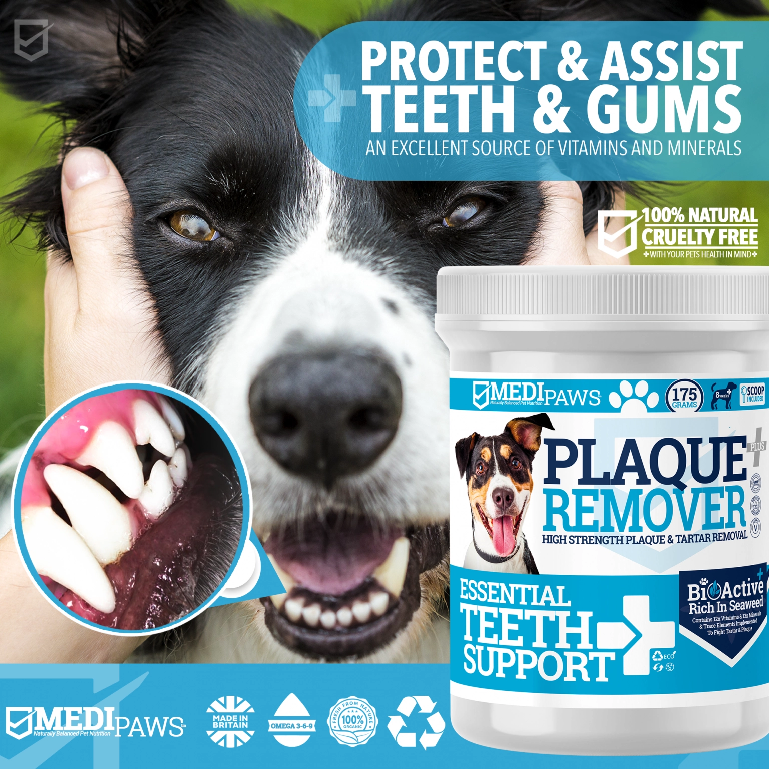 MediPaws Plaque Remover Teeth Support+ 175g Dog MediPaws Plaque Remover Teeth Support+ 175g - Image 2