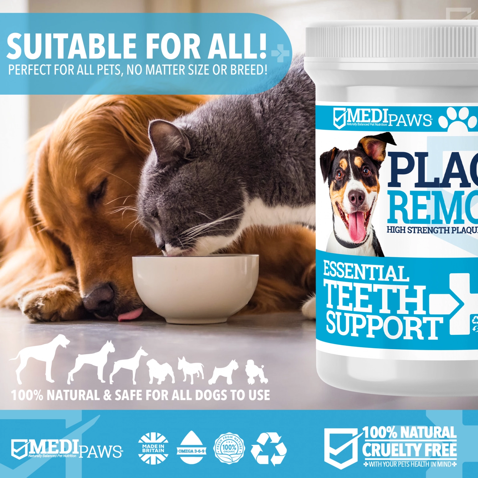 MediPaws Plaque Remover Teeth Support+ 175g Dog MediPaws Plaque Remover Teeth Support+ 175g - Image 5