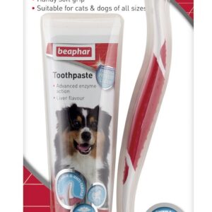 Beaphar Dental Kit Toothbrush & Toothpaste 100g Dog Beaphar Dental Kit Toothbrush & Toothpaste 100g