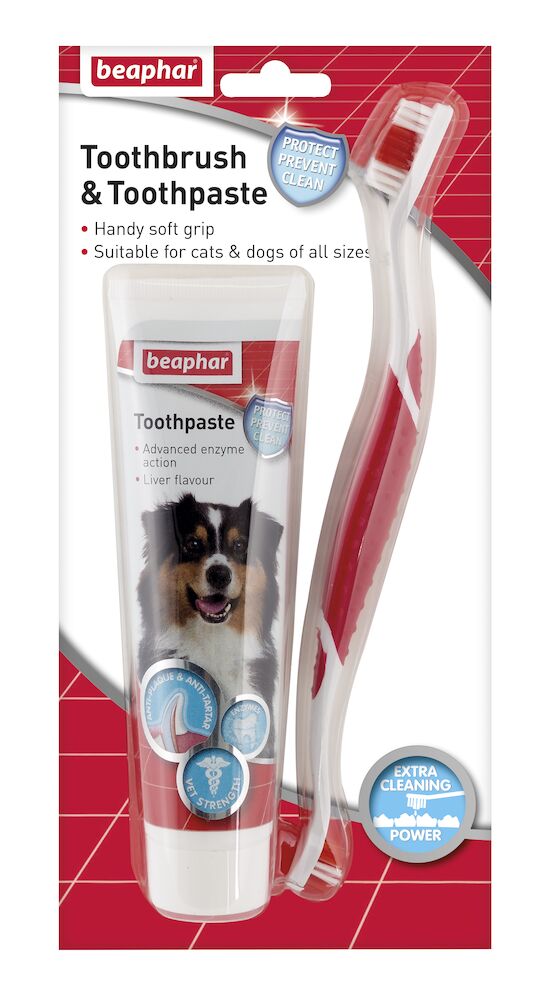Beaphar Dental Kit Toothbrush & Toothpaste 100g Dog Beaphar Dental Kit Toothbrush & Toothpaste 100g - Image 2