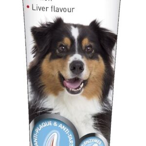 Beaphar Toothpaste 100g Dog Beaphar Toothpaste 100g