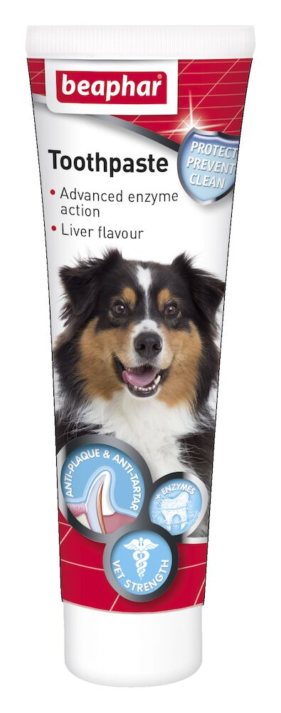 Beaphar Toothpaste 100g Dog Beaphar Toothpaste 100g - Image 2