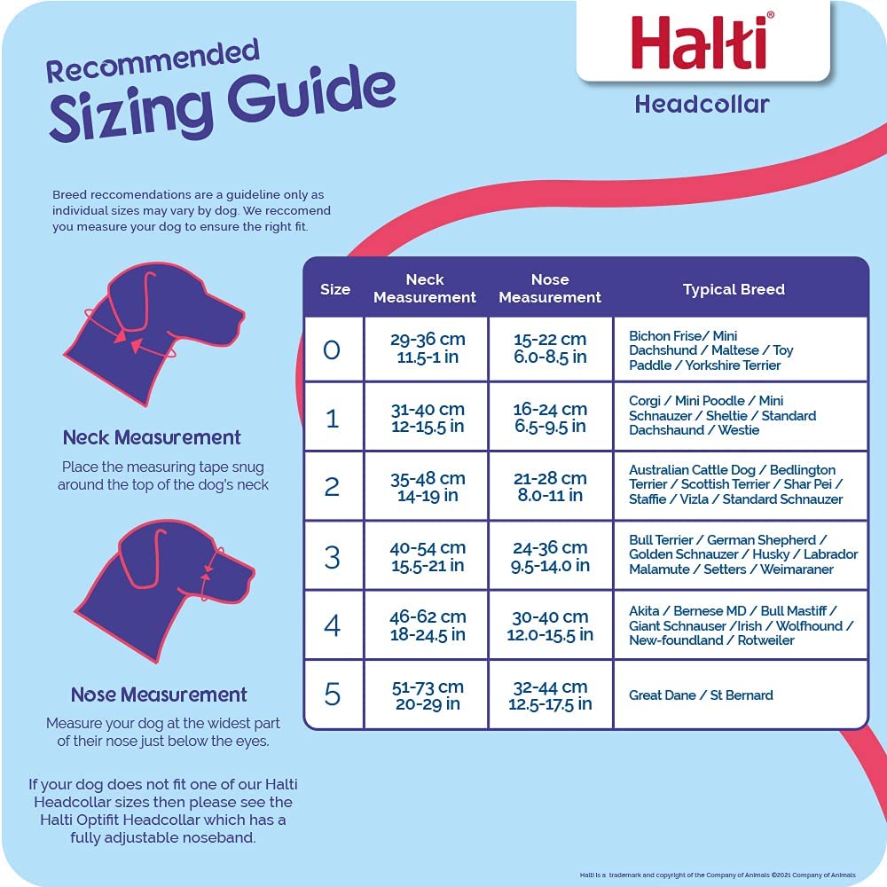 Halti Headcollar Collar Halti Headcollar - Image 4