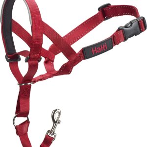 Halti Headcollar Collar Halti Headcollar