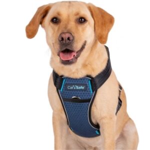 Harness