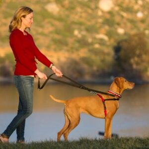 Halti Front Control Harness Black/Red Medium Dog Halti Front Control Harness Black/Red Medium