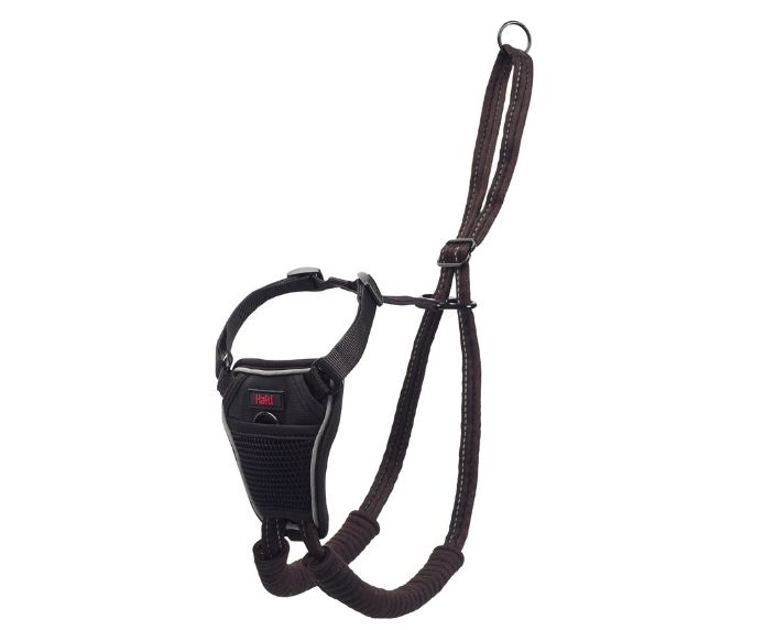 Halti No Pull Harness Medium Dog Halti No Pull Harness Medium