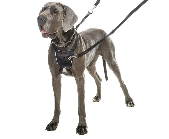 Halti No Pull Harness Medium Dog Halti No Pull Harness Medium - Image 2