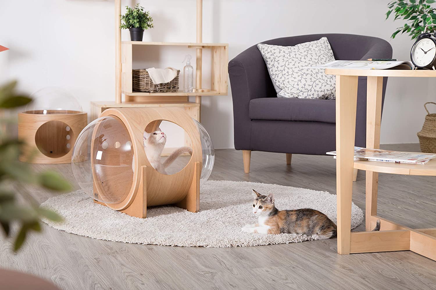 TD Cat Capsule Space Wooden Bed House Bed, Crates, Home & Travel TD Cat Capsule Space Wooden Bed House - Image 7