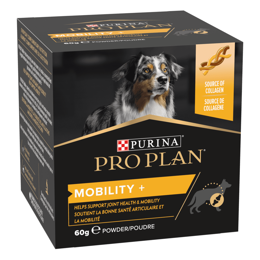 PRO PLAN Dog Adult and Senior Mobility Supplement Powder 60g Dog PRO PLAN Dog Adult and Senior Mobility Supplement Powder 60g - Image 2