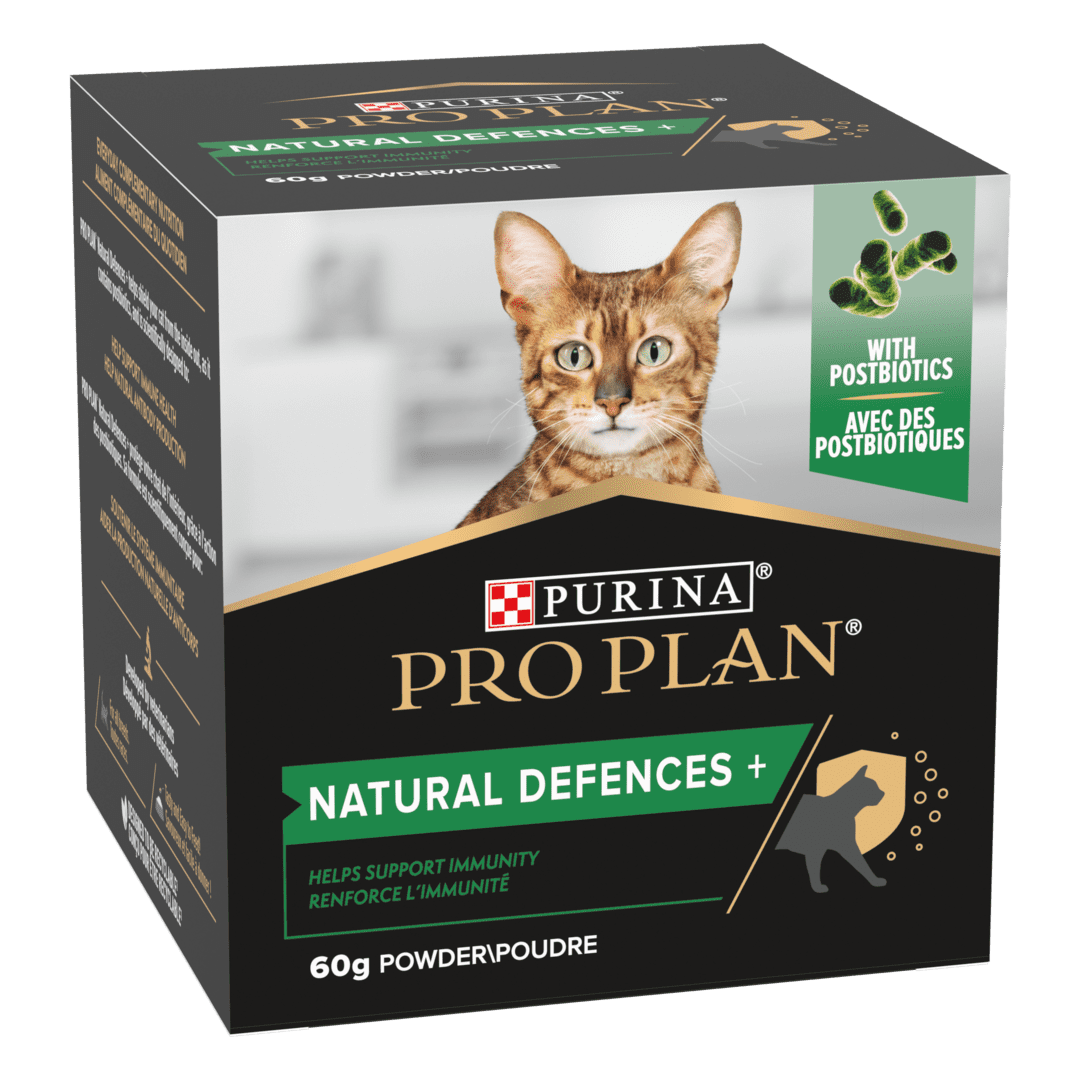PRO PLAN Cat Adult and Senior Natural Defences Supplement Powder 60g Cat PRO PLAN Cat Adult and Senior Natural Defences Supplement Powder 60g - Image 2
