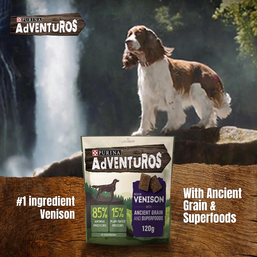 Adventuros Ancient Grain Dog Treat Venison 120g Dog Adventuros Ancient Grain Dog Treat Venison 120g - Image 2