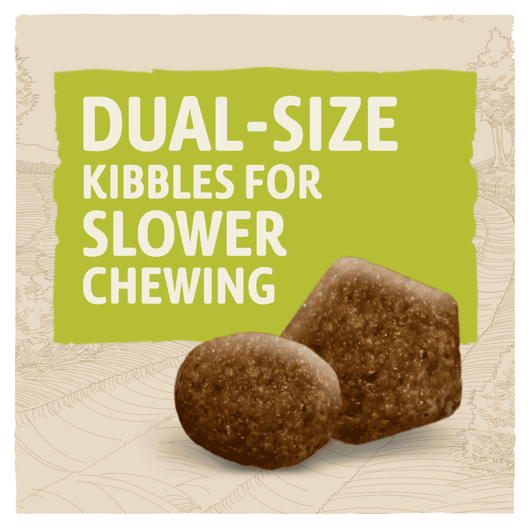 BETA Adult Small Breed Dry Dog Food Chicken 2kg Dog BETA Adult Small Breed Dry Dog Food Chicken 2kg - Image 3