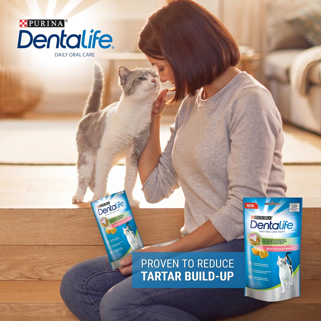 DENTALIFE Cat Salmon Dental Treats 40g Cat DENTALIFE Cat Salmon Dental Treats 40g - Image 5