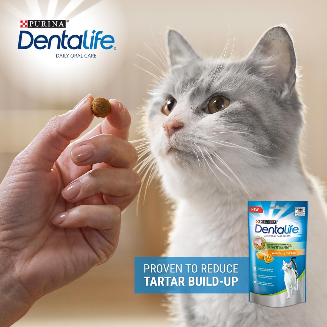 Dentalife Cat Chicken Dental Treat 40g Cat Dentalife Cat Chicken Dental Treat 40g - Image 4