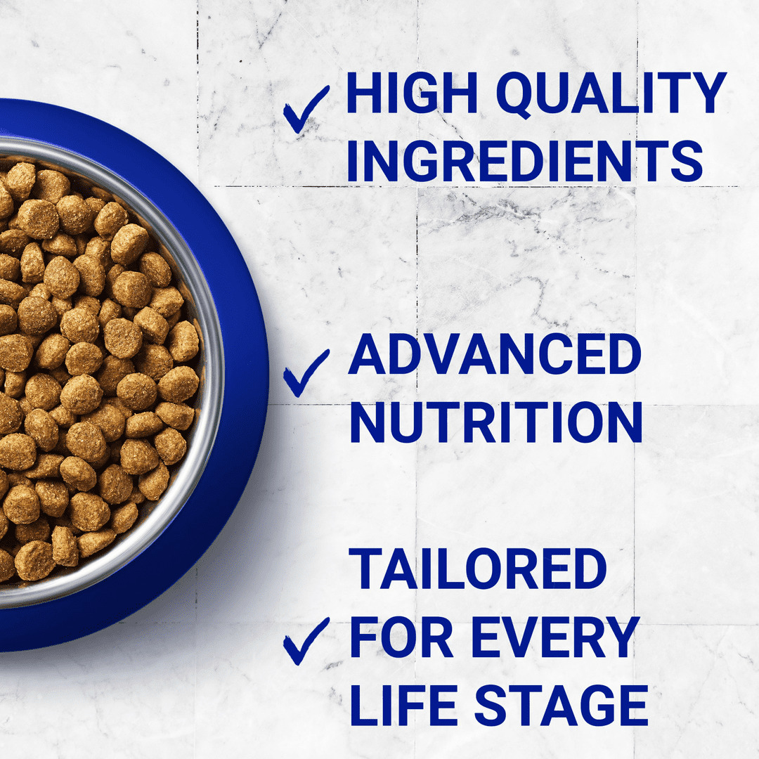 Purina ONE Adult Chicken & Beef Cat Food 8x85g Cat Purina ONE Adult Chicken & Beef Cat Food 8x85g - Image 3