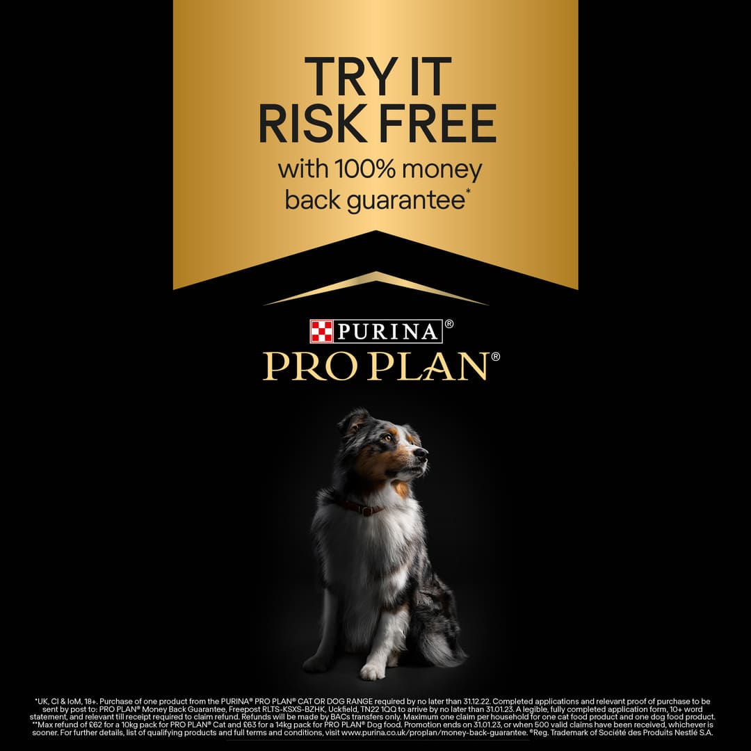 Pro Plan Optistart Medium Puppy Dry Dog Food Chicken 3kg Dog Pro Plan Optistart Medium Puppy Dry Dog Food Chicken 3kg - Image 2