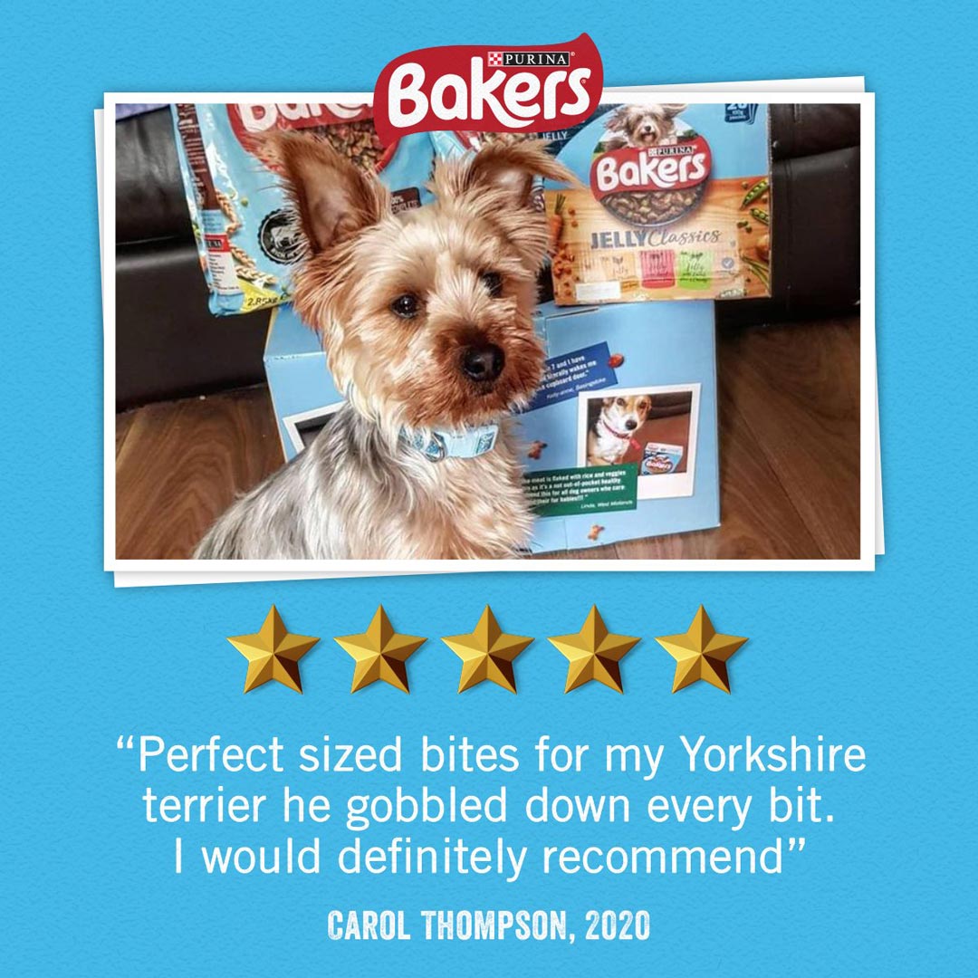 Bakers Adult Dry Dog Food Beef And Veg 3kg Dog Bakers Adult Dry Dog Food Beef And Veg 3kg - Image 5