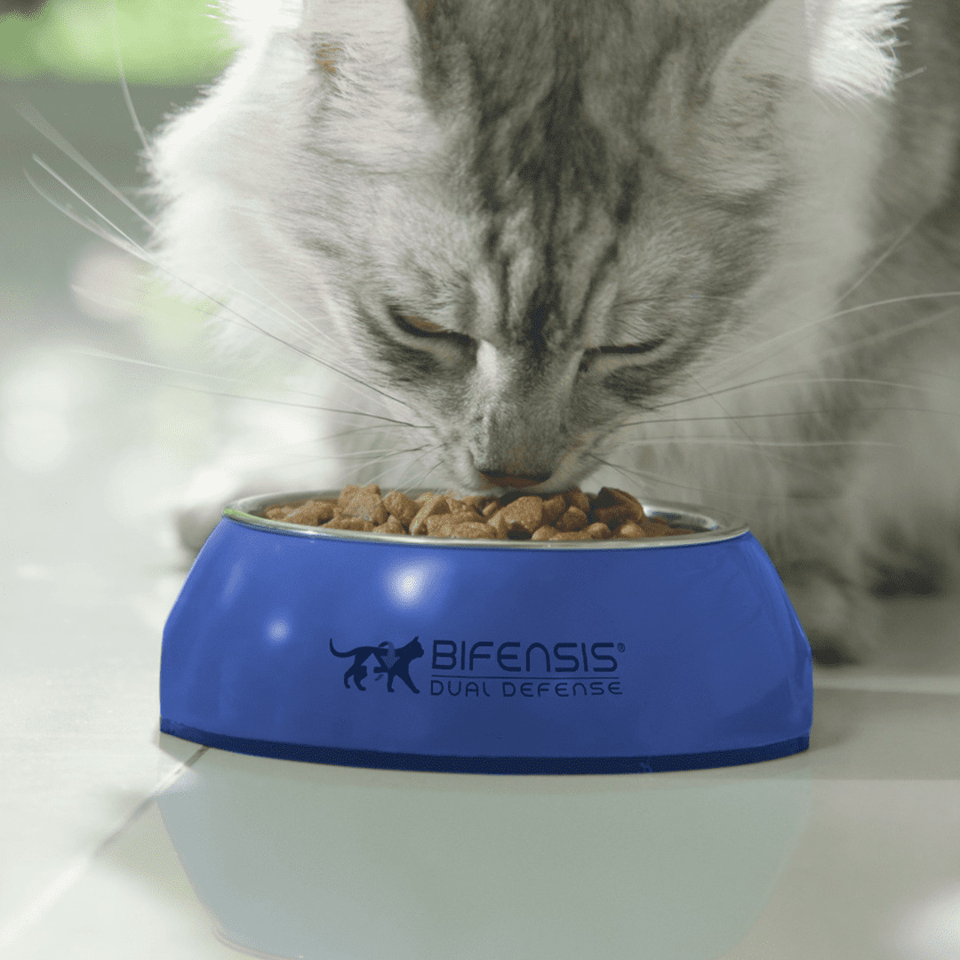 Purina ONE Adult Chicken & Beef Cat Food 8x85g Cat Purina ONE Adult Chicken & Beef Cat Food 8x85g - Image 5
