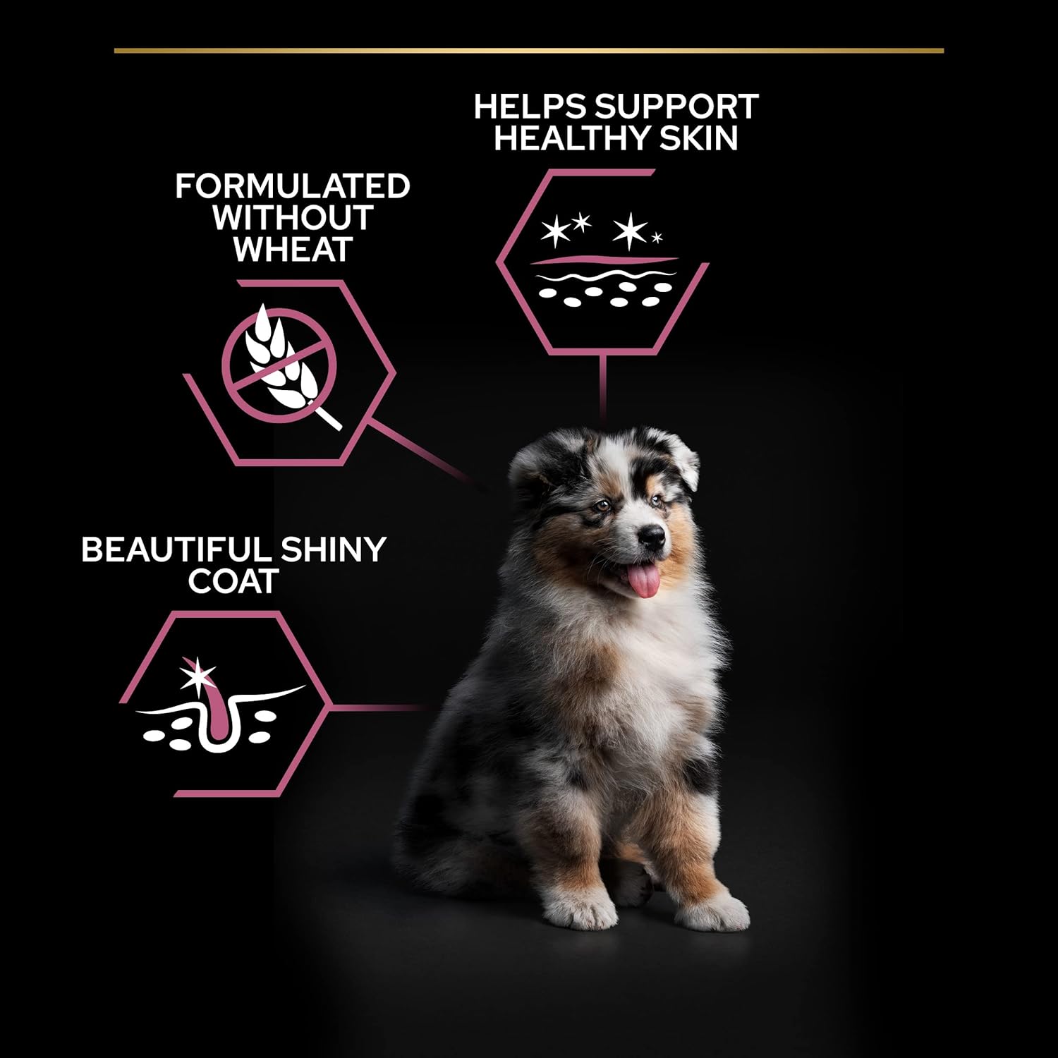 Pro Plan Optiderma Sensitive Skin Medium Puppy Dry Dog Food Salmon 3kg Dog Pro Plan Optiderma Sensitive Skin Medium Puppy Dry Dog Food Salmon 3kg - Image 4