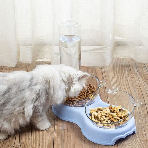 TD Double Food Bowls Auto Water Feeder Dispenser For Cat & Dog Bowls TD Double Food Bowls Auto Water Feeder Dispenser For Cat & Dog - Image 25