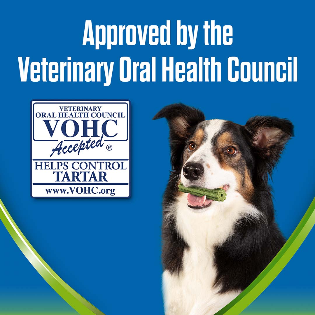 DENTALIFE ActivFresh Medium Dog Treat Dental 5 Sticks Dog DENTALIFE ActivFresh Medium Dog Treat Dental 5 Sticks - Image 3