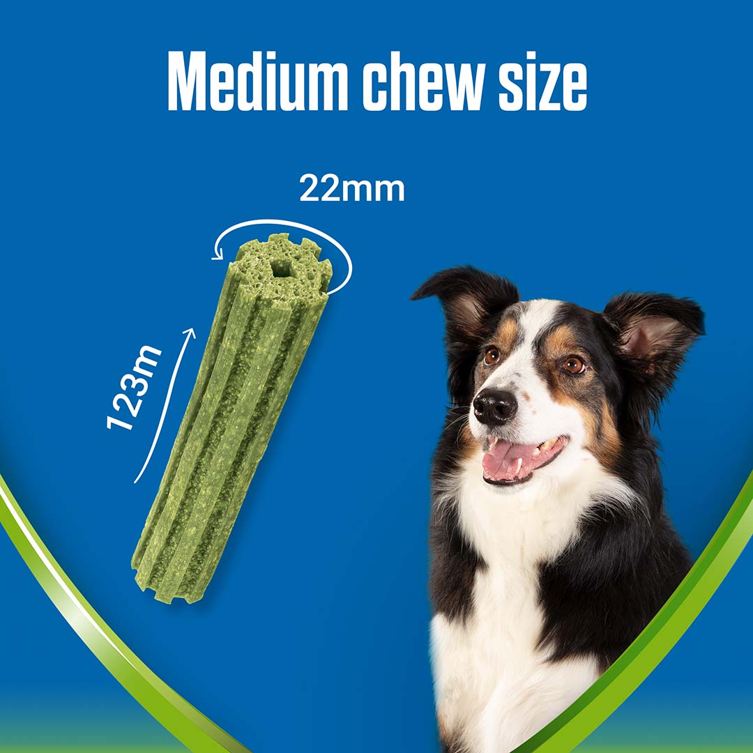 DENTALIFE ActivFresh Medium Dog Treat Dental 5 Sticks Dog DENTALIFE ActivFresh Medium Dog Treat Dental 5 Sticks - Image 4