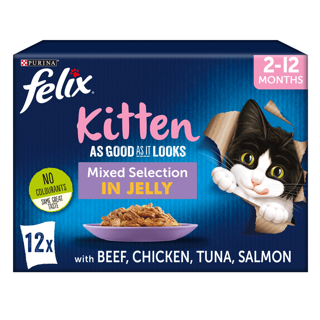 Felix As Good As It Looks Cat Food Kitten Mixed Selection in Jelly Wet Cat Food 12x100g Cat Felix As Good As It Looks Cat Food Kitten Mixed Selection in Jelly Wet Cat Food 12x100g