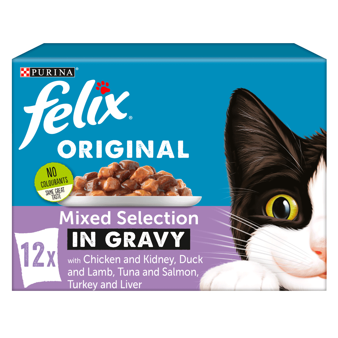 Felix Mixed Selection in Gravy Cat Food 12x100g Cat Felix Mixed Selection in Gravy Cat Food 12x100g
