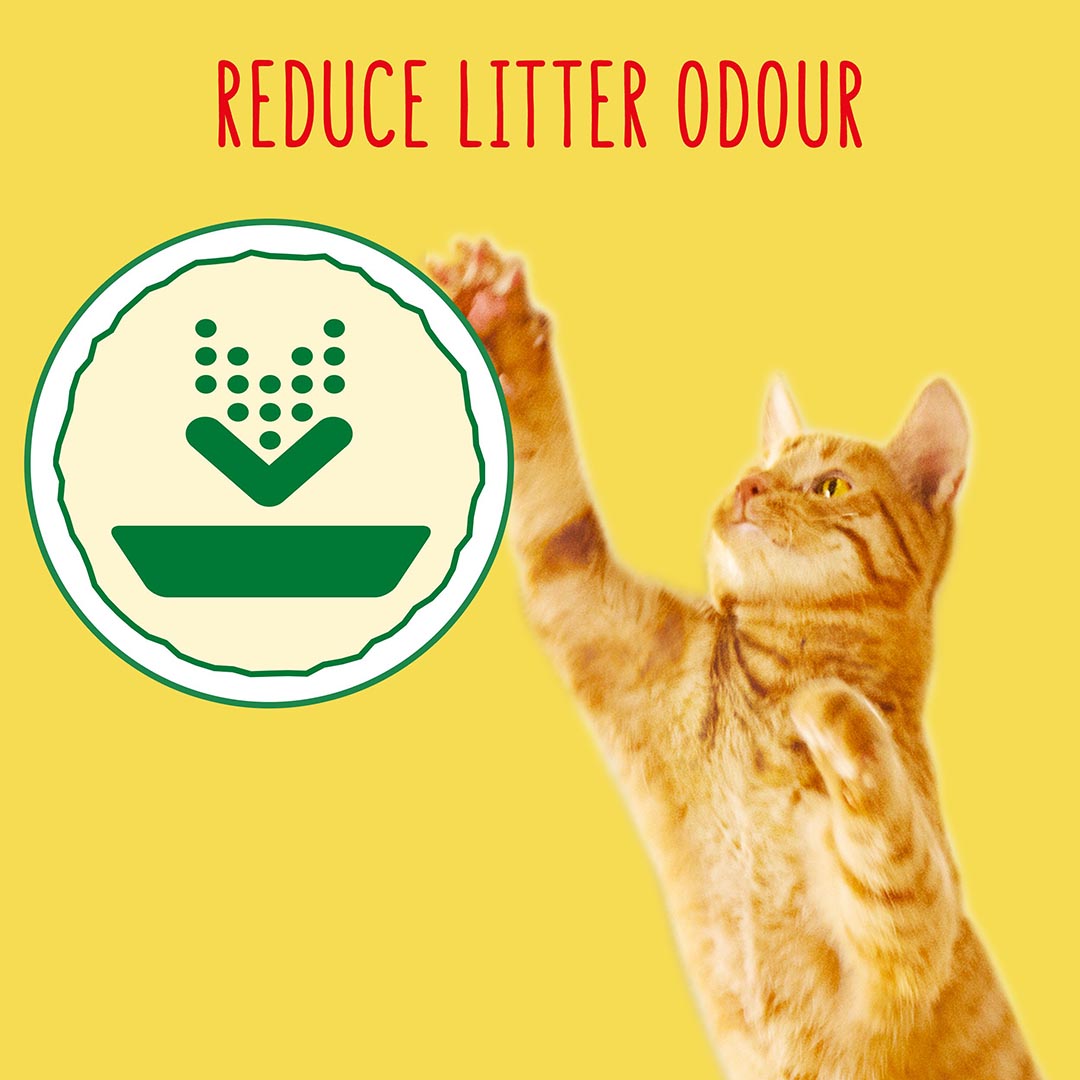 Go-cat Indoor Chicken & Veg Dry Cat Food - Image 4