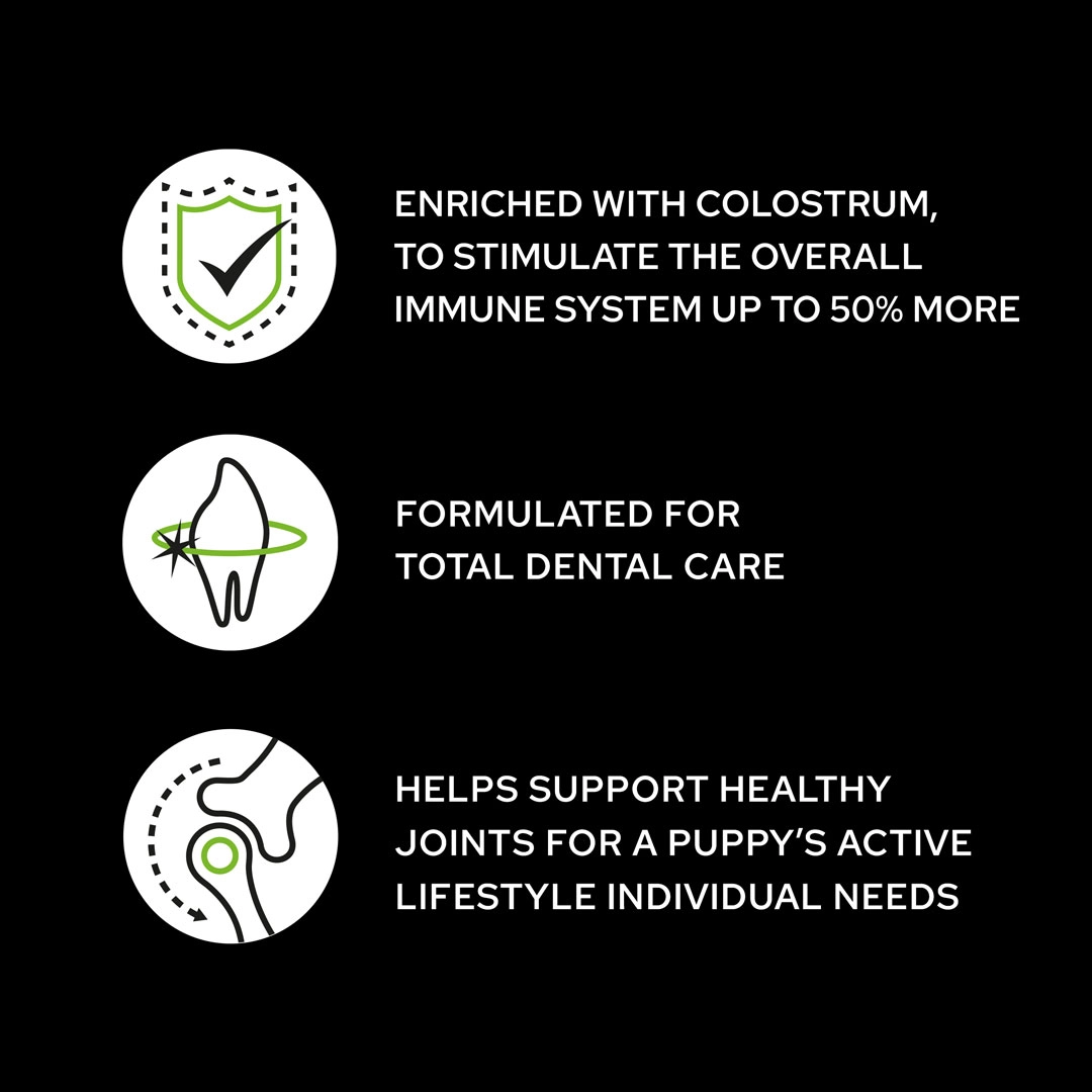 Pro Plan Optistart Medium Puppy Dry Dog Food Chicken 3kg Dog Pro Plan Optistart Medium Puppy Dry Dog Food Chicken 3kg - Image 4