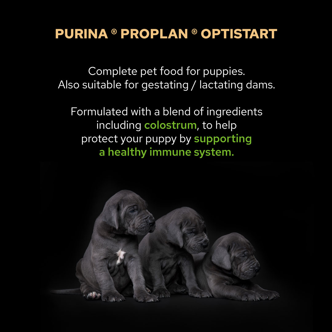 Pro Plan Optistart Medium Puppy Dry Dog Food Chicken 3kg Dog Pro Plan Optistart Medium Puppy Dry Dog Food Chicken 3kg - Image 3