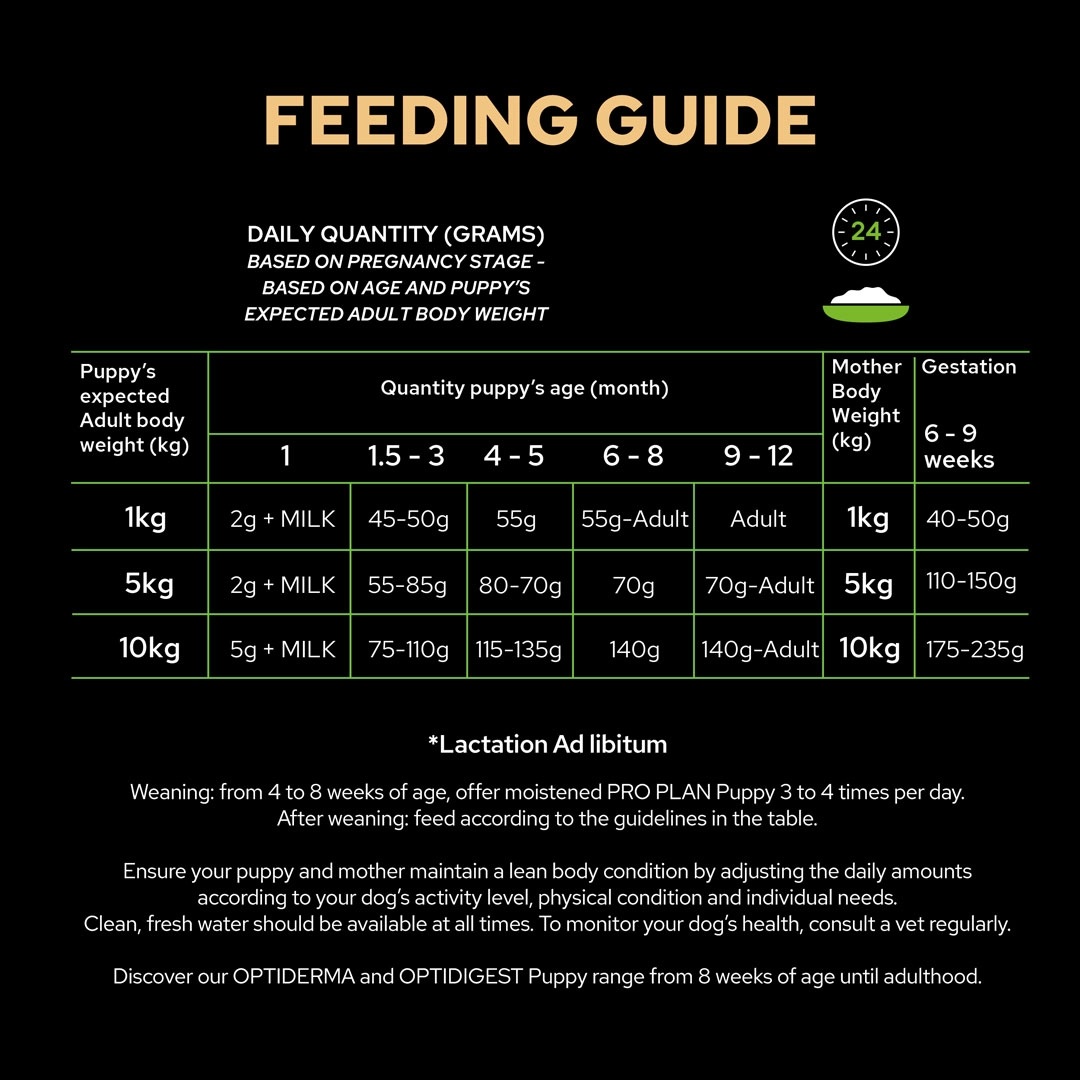 Pro Plan Optistart Large Robust Puppy Dry Dog Food Chicken 3kg Dog Pro Plan Optistart Large Robust Puppy Dry Dog Food Chicken 3kg - Image 6