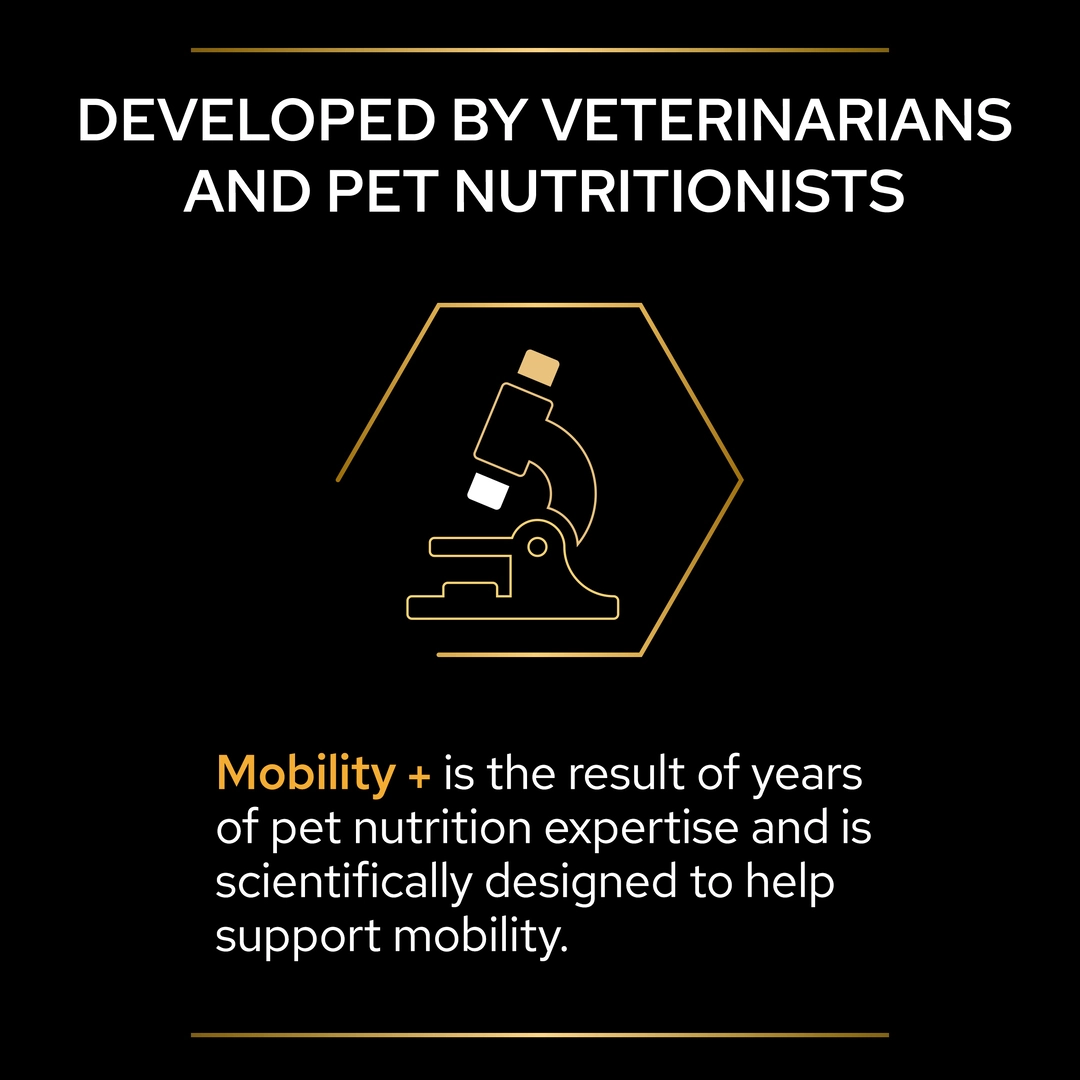PRO PLAN Dog Adult and Senior Mobility Supplement Powder 60g Dog PRO PLAN Dog Adult and Senior Mobility Supplement Powder 60g - Image 6