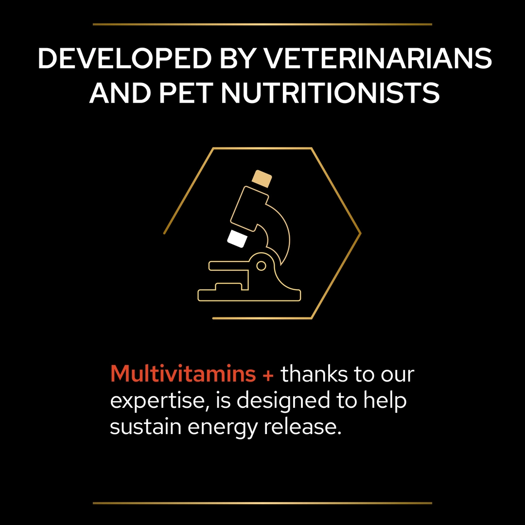 PRO PLAN Cat Adult and Senior Multivitamins Supplement Powder 60g Cat PRO PLAN Cat Adult and Senior Multivitamins Supplement Powder 60g - Image 7