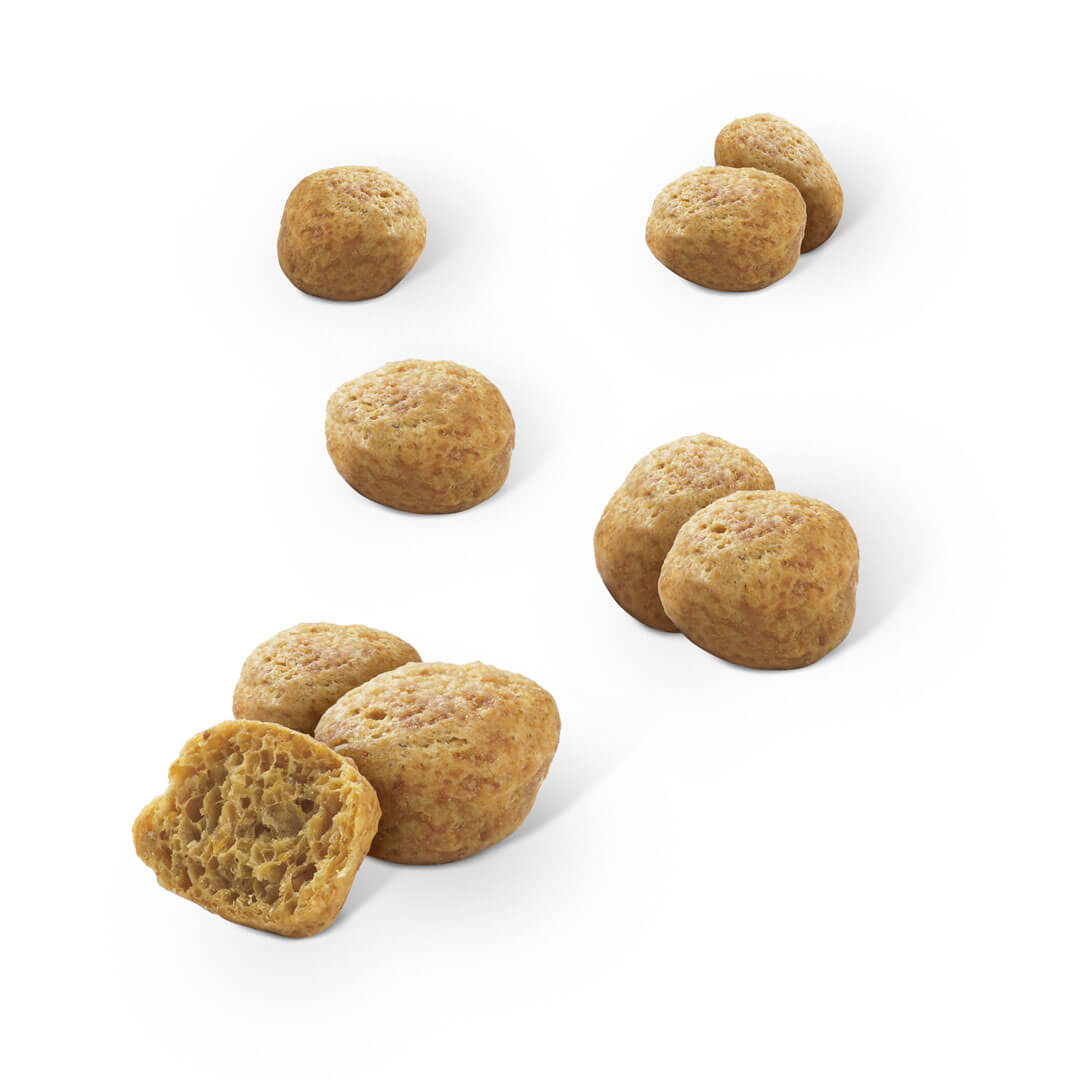 Dentalife Cat Chicken Dental Treat 40g Cat Dentalife Cat Chicken Dental Treat 40g - Image 2